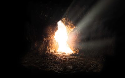 Shinning Light in The Darkness